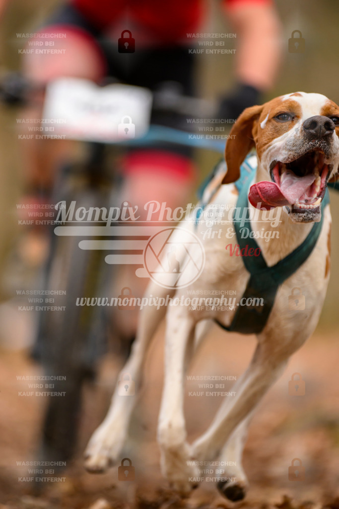 MompixPhotography_Habay2025_SA_Bike-47 | PayLife