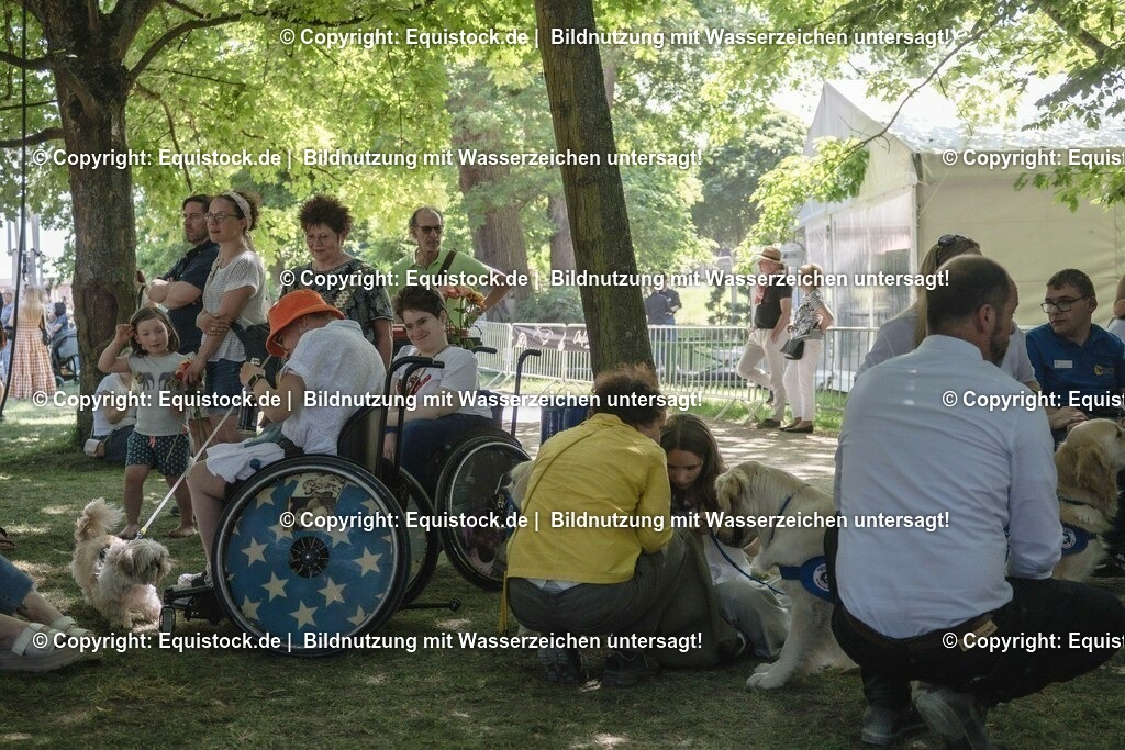 ZFC_4318 | equistock