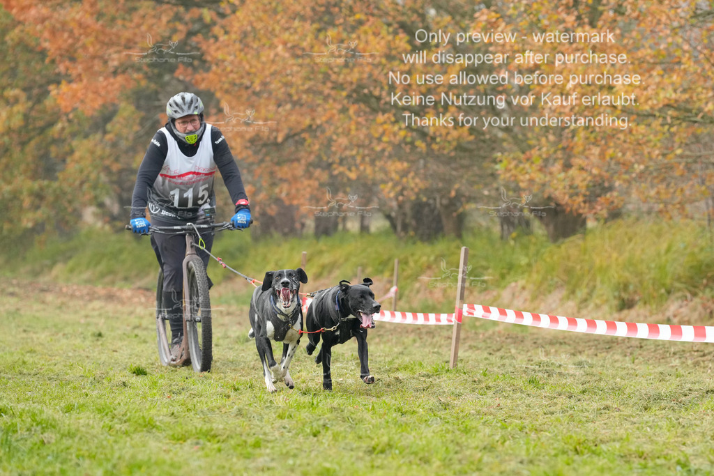 Visbeck_Sa_DS2DR2-121 | stephaniefillaphotographie - Realisiert mit Pictrs.com