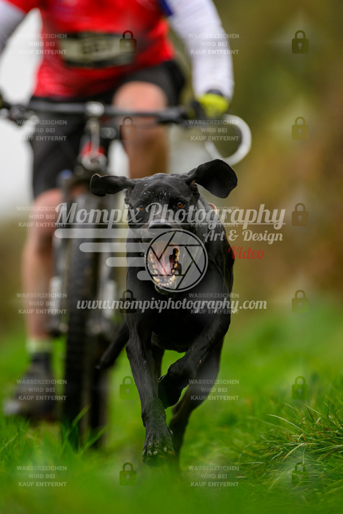MompixPhotography_20TSB_E8_Bike-173 | PayLife
