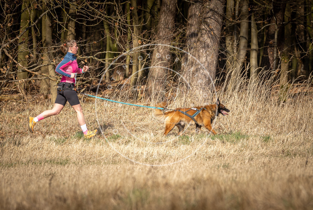 DV3A5989 | Hundefotografie, Tierfotograf, Pfotenfotografie, Fotoshooting Hund, Hunde Portrait, Hundesport, Hundeportraits, Heideshooting, Hunde, Sportfotograf, Hundefotograf, Turnierhundsport, THS,  - Realisiert mit Pictrs.com
