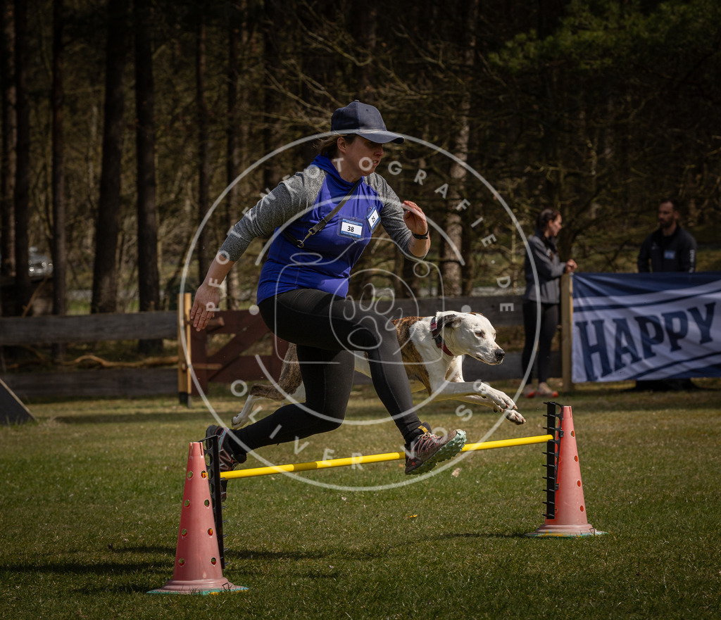 Pfotenfotografie_DV3A3753 | Hundefotografie, Tierfotograf, Pfotenfotografie, Fotoshooting Hund, Hunde Portrait, Hundesport, Hundeportraits, Heideshooting, Hunde, Sportfotograf, Hundefotograf, Turnierhundsport, THS,  - Realisiert mit Pictrs.com