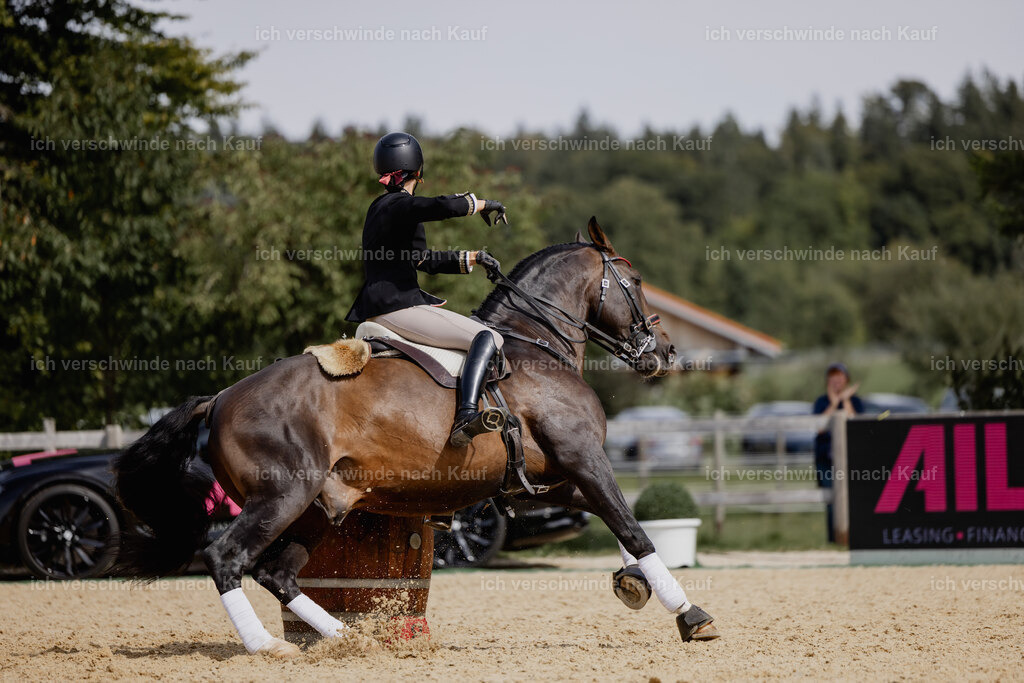 Virginie12FHC2025-20661 | working equitationturnier fotograf videograf stoibphotography marixx film working equitation deutschland reitsport turnierfotografie eventfotografie equestrian events