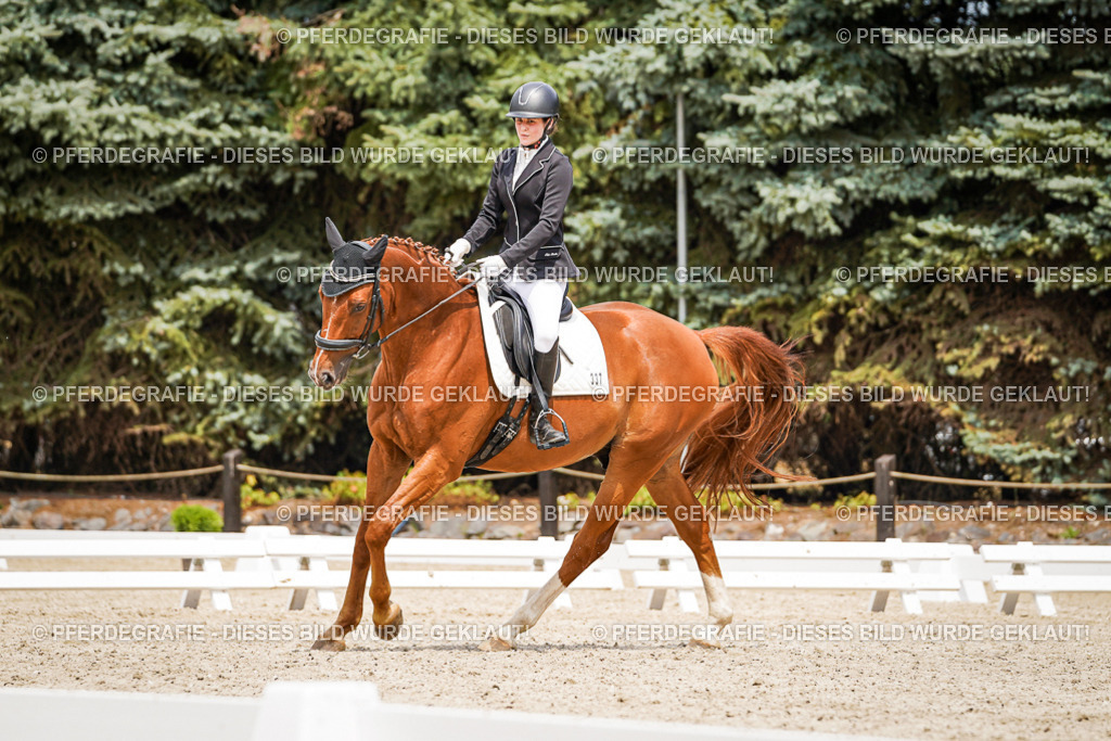 DSC03999 | Pferdegrafie