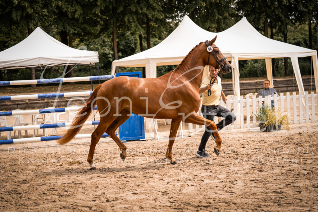 5.Fr00041 | Leoni Ertmer Photography - Realisiert mit Pictrs.com