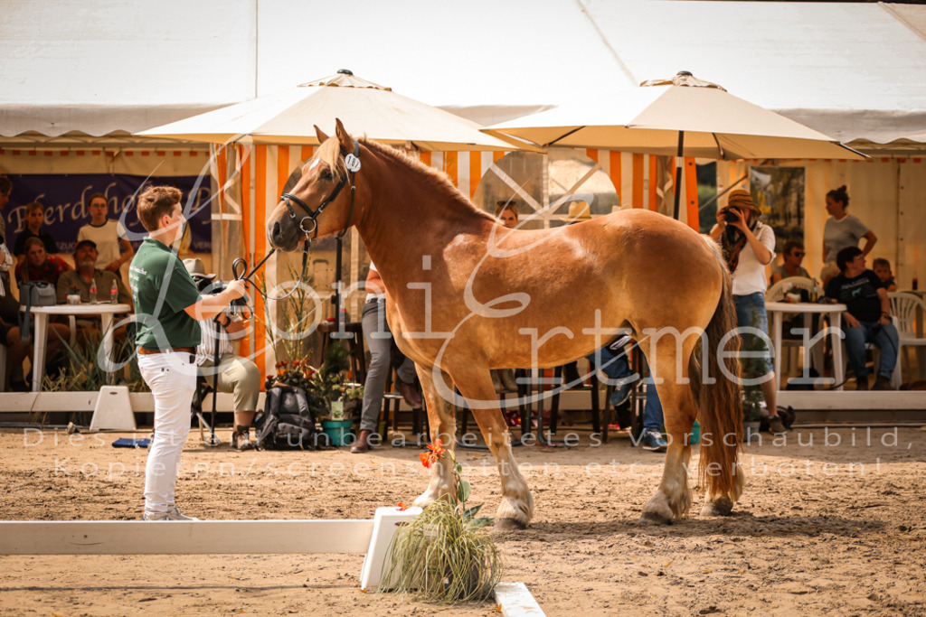 3.Sa00004 | Leoni Ertmer Photography - Realisiert mit Pictrs.com