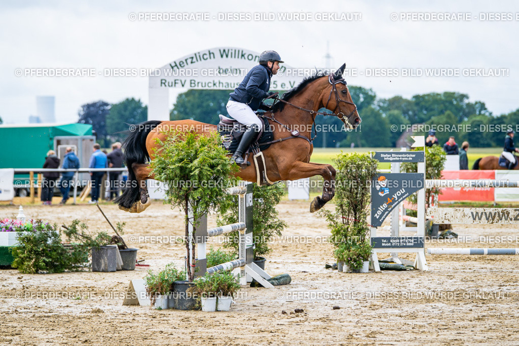 DSC03984 | Pferdegrafie