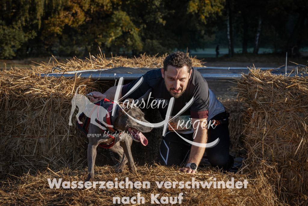 0931_ZZ93362 | kk-dogfotos