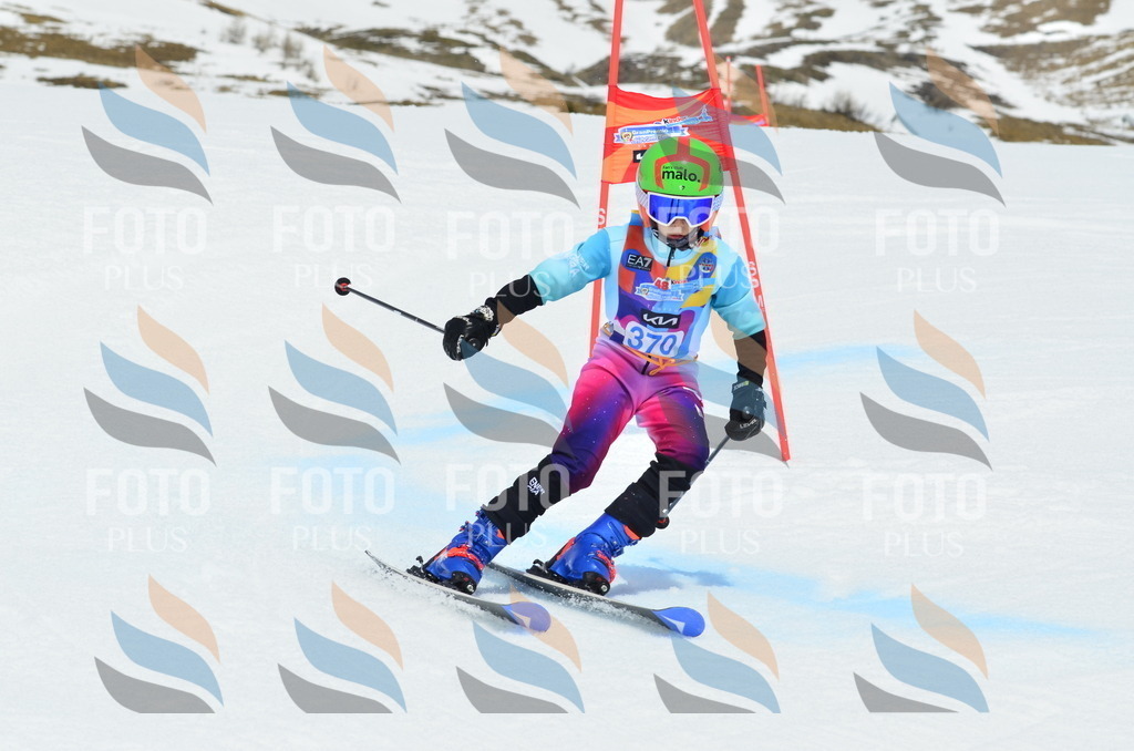 _ELE3025 | holidayphoto