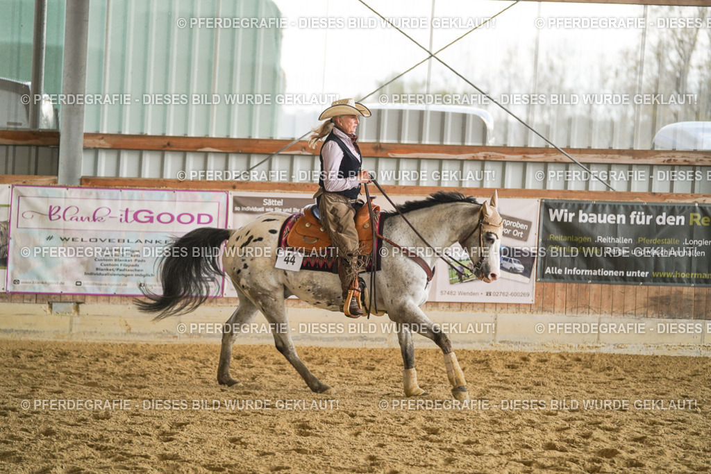 DSC07629 | Pferdegrafie