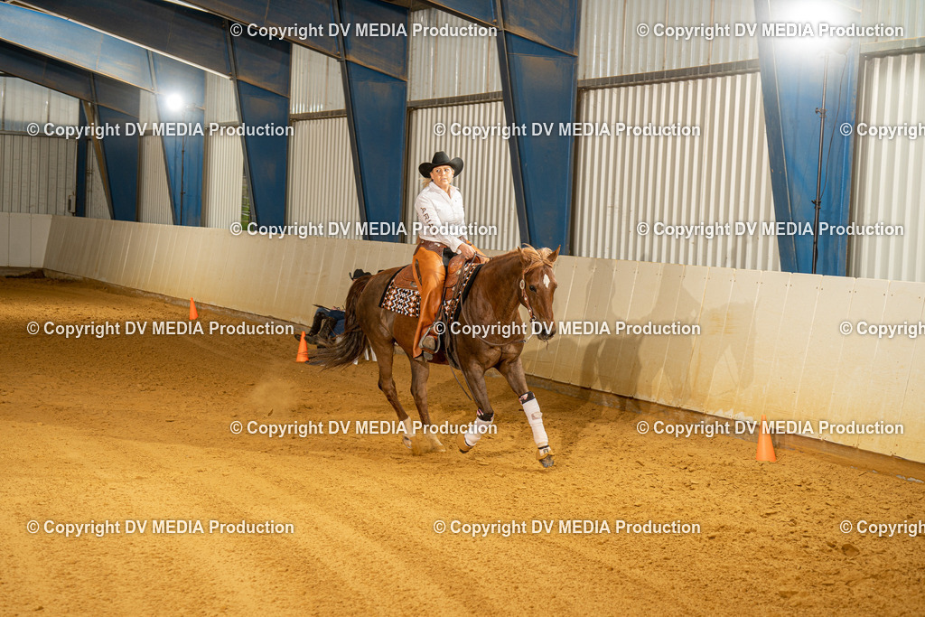 MIT00586 | dv-media-shop - Realisiert mit Pictrs.com