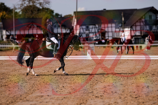 2026_10_03_Siefer-Hof_121536_Z81_17293870 | Professionelle Reitsport-, Turnier- und Eventfotografie von Robert Broda. Galerien mit ausgewählten und bearbeiteten Bildern direkt online ansehen und bestellen.