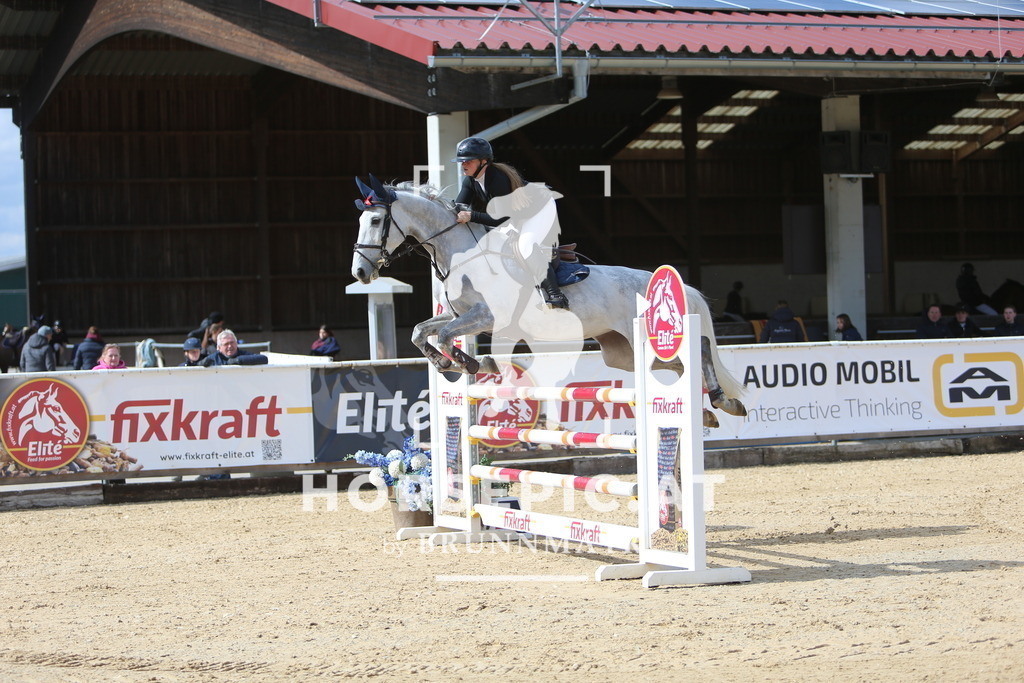 DL2Q0231 | Willkommen bei Brunnmayr - Design & Fotografie – Ihrem Spezialisten für Reitturniere und Pferdeveranstaltungen in Oberösterreich, Salzburg und Bayern! Seit über 17 Jahren sind wir leidenschaftlich dabei.