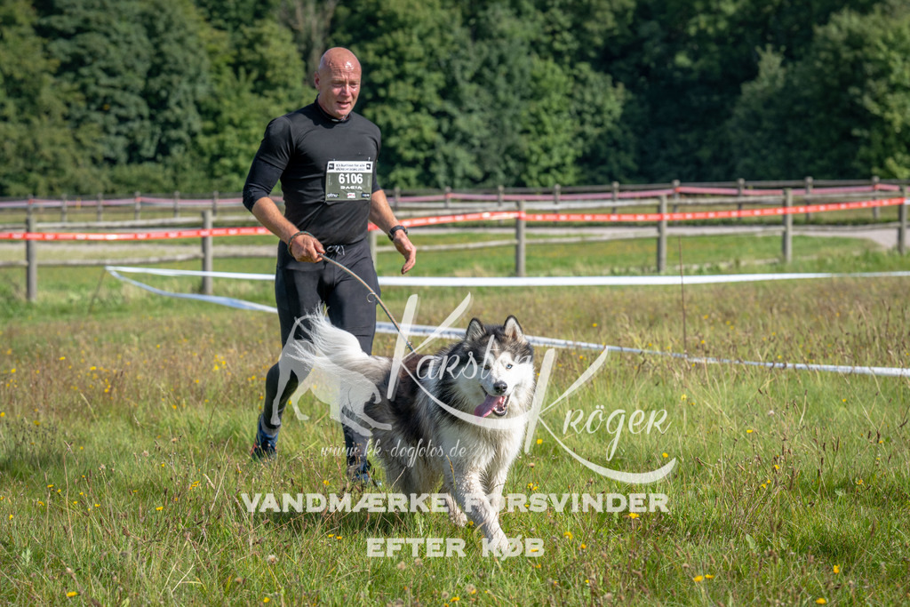 1138_ZZ90764 | kk-dogfotos