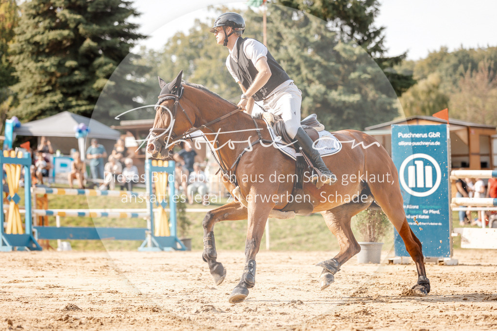 3I6A4904 | Stimmungsvolle Portraits und Reitsportfotografie im Ruhrgebiet und im Münsterland.

Pferdefotografie, Hundefotografie, Tierfotografie, Reportagen, Portraits von Tier und Mensch, Turnierfotografie in Bochum, Recklinghausen, Marl, Haltern am See, Dülmen.. - Realisiert mit Pictrs.com