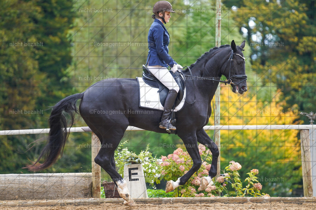 20221008-FAH00996 | Diessen am Ammersee, 2022, Dressur- und Springturnier, Reitsportbilder, Turnierfotografen Bayern, Pferdefotografen, Fotoagentur Herrmann, Turnierbilder