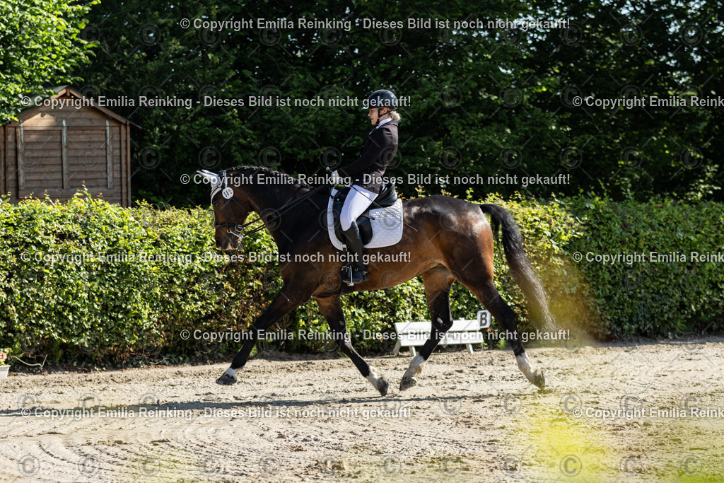 CL5A7015 | Emilia Reinking Fotografie - Realisiert mit Pictrs.com