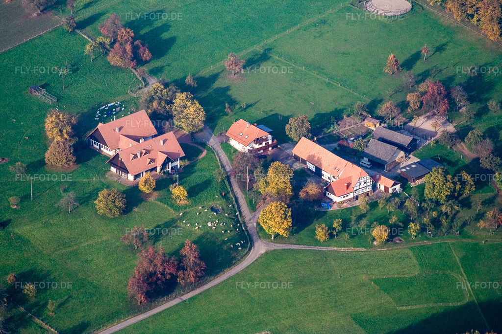 Luftbild: Aussiedlerhof im Ortsteil Völkersbach in Malsch im Bundesland Baden-Württemberg in Deutschland. Foto: IMG_14038.jpg vom 11.10.2008 durch Werner Riehm/FLY-FOTO.de