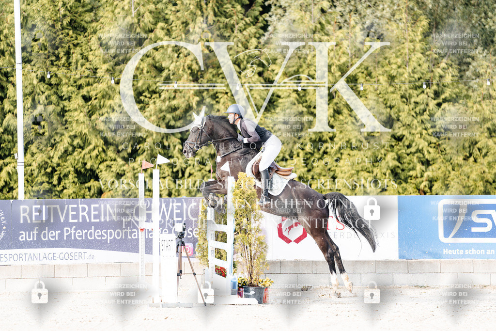 CK903214 | Turnierfotografie Pferdefotografie Trier Rheinland-Pfalz Pferdesport Reitsport Tierfotografie Sportfotografie Pferdevideo Pferdevideografie Equestrianvideography equestrianphotography  - Realisiert mit Pictrs.com