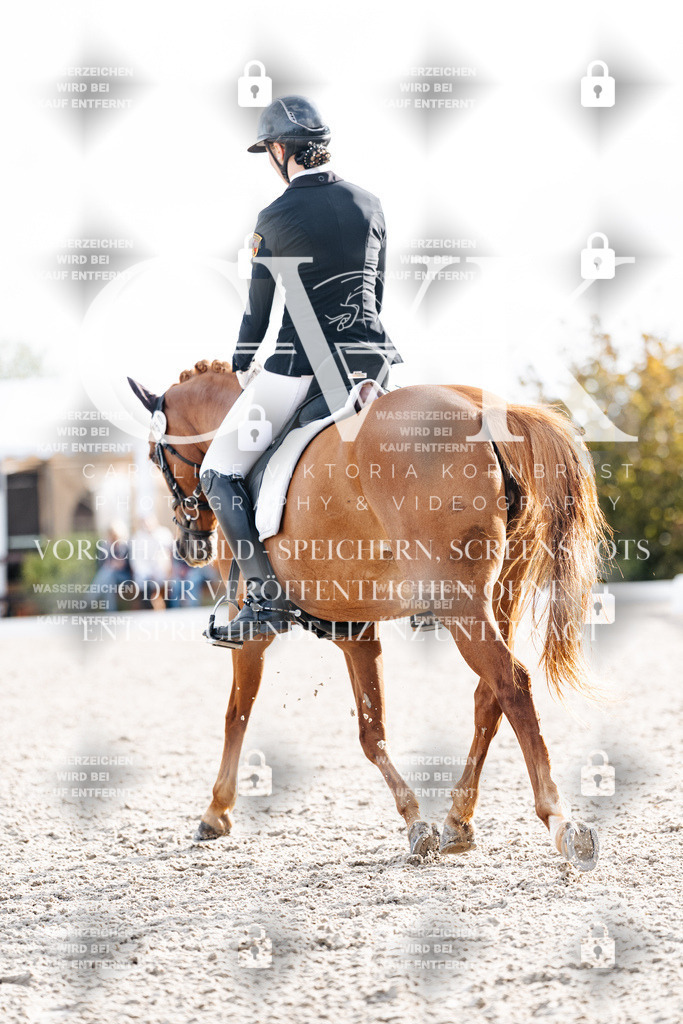 CK901155 | Turnierfotografie Pferdefotografie Trier Rheinland-Pfalz Pferdesport Reitsport Tierfotografie Sportfotografie Pferdevideo Pferdevideografie Equestrianvideography equestrianphotography  - Realisiert mit Pictrs.com
