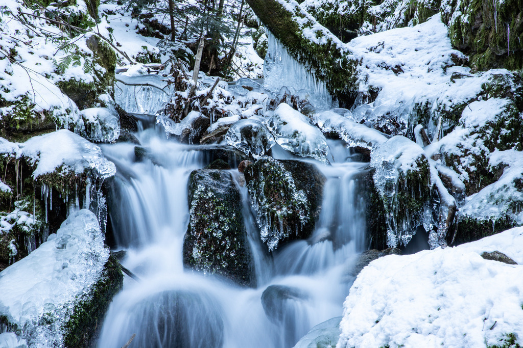 IMG_0989 | ehrlichefotos - Realisiert mit Pictrs.com