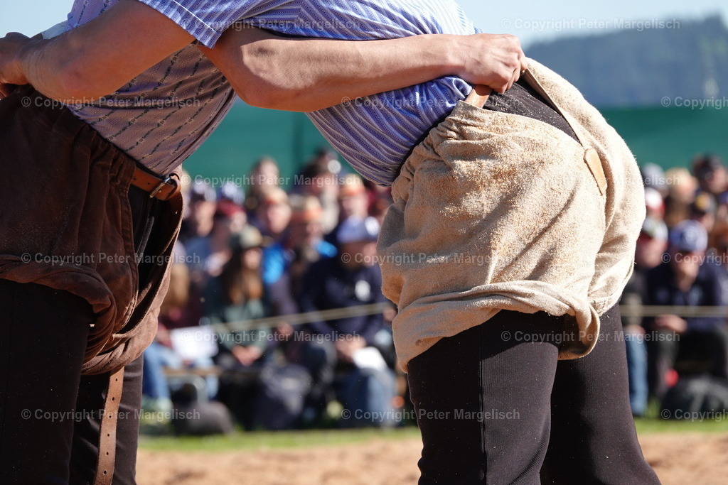 DSC00876 | Schwingen - Realisiert mit Pictrs.com