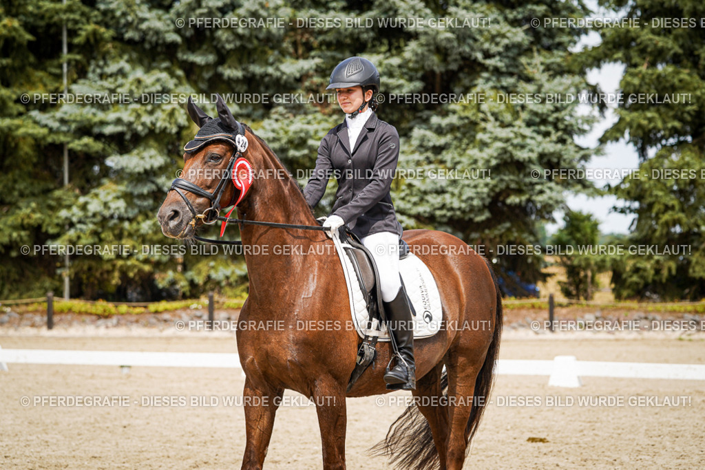 DSC04549 | Pferdegrafie