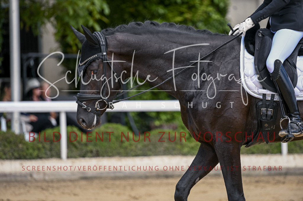 Schugtsche-Aluta25-48.Reitpferfdeprf.-110 | Schugtsche Fotografie - Realisiert mit Pictrs.com