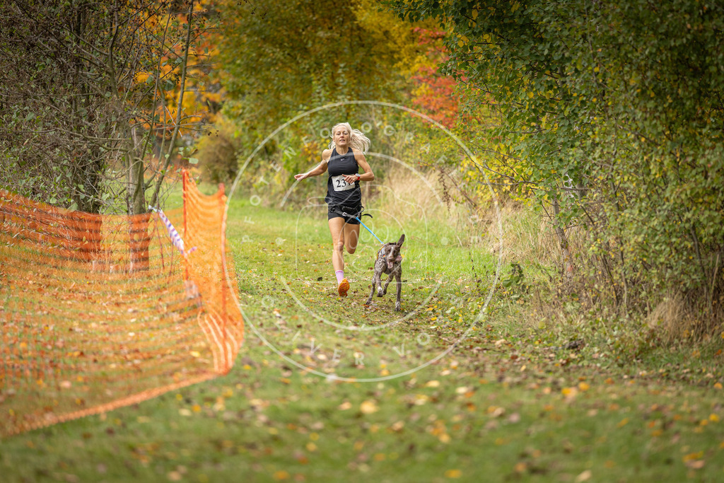Pfotenfotografie_DV3A4443 | Hundefotografie, Tierfotograf, Pfotenfotografie, Fotoshooting Hund, Hunde Portrait, Hundesport, Hundeportraits, Heideshooting, Hunde, Sportfotograf, Hundefotograf, Turnierhundsport, THS,  - Realisiert mit Pictrs.com