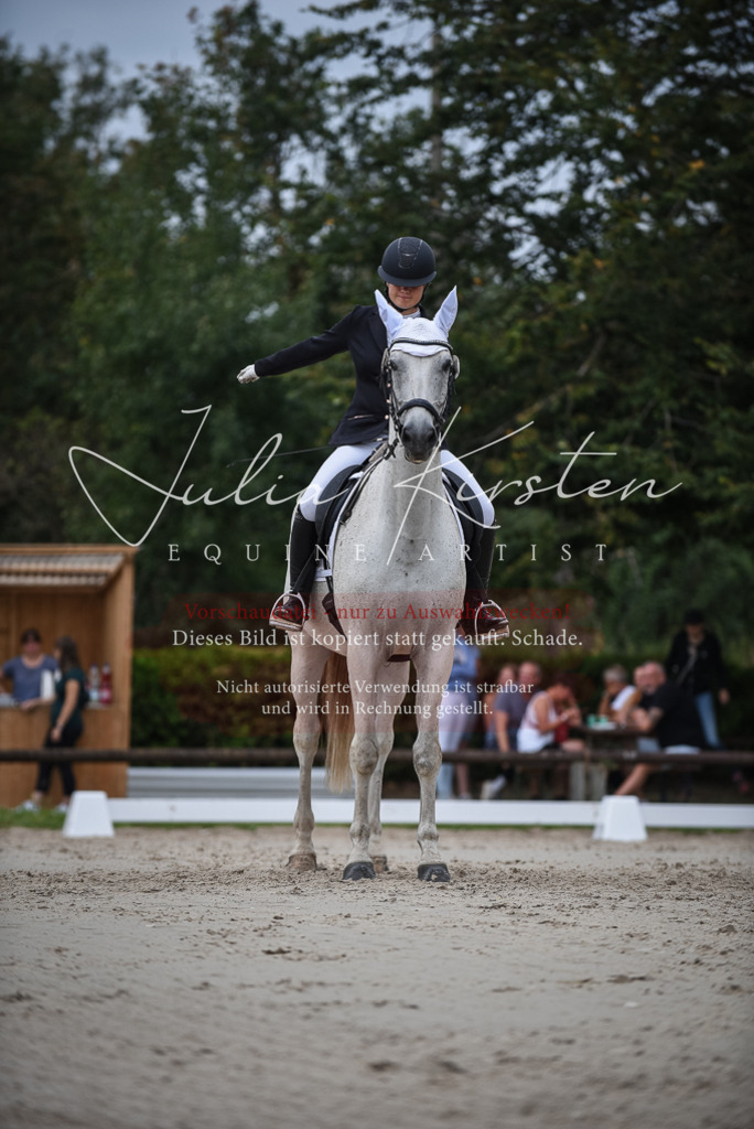 DSC_8474 | Pferde- und Turnierfotografie in Westsachsen. Pferdeportraits, Auftragszeichnungen und intuitive Kunst.