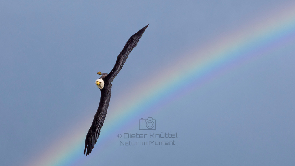 P1628577-Bearbeitet-2023-LR | Natur im Moment - Realisiert mit Pictrs.com
