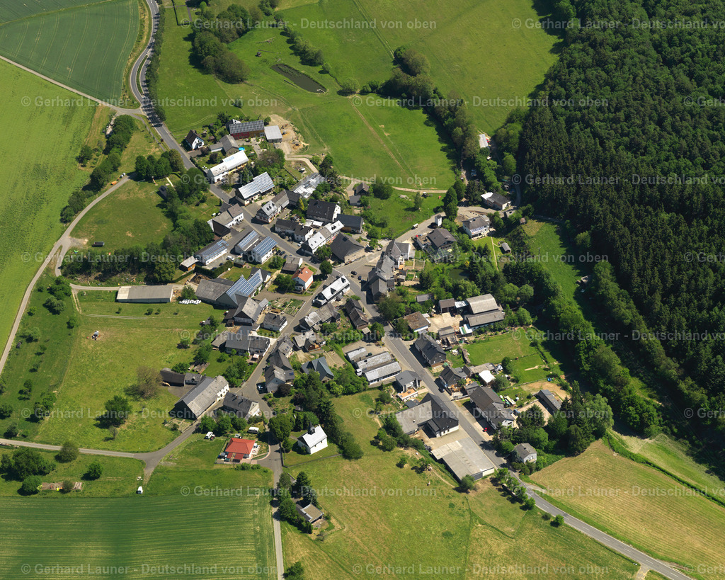 Weiden-3111670 | Weiden
