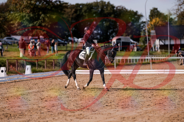 2026_10_03_Siefer-Hof_121534_Z81_17083849 | Professionelle Reitsport-, Turnier- und Eventfotografie von Robert Broda. Galerien mit ausgewählten und bearbeiteten Bildern direkt online ansehen und bestellen.
