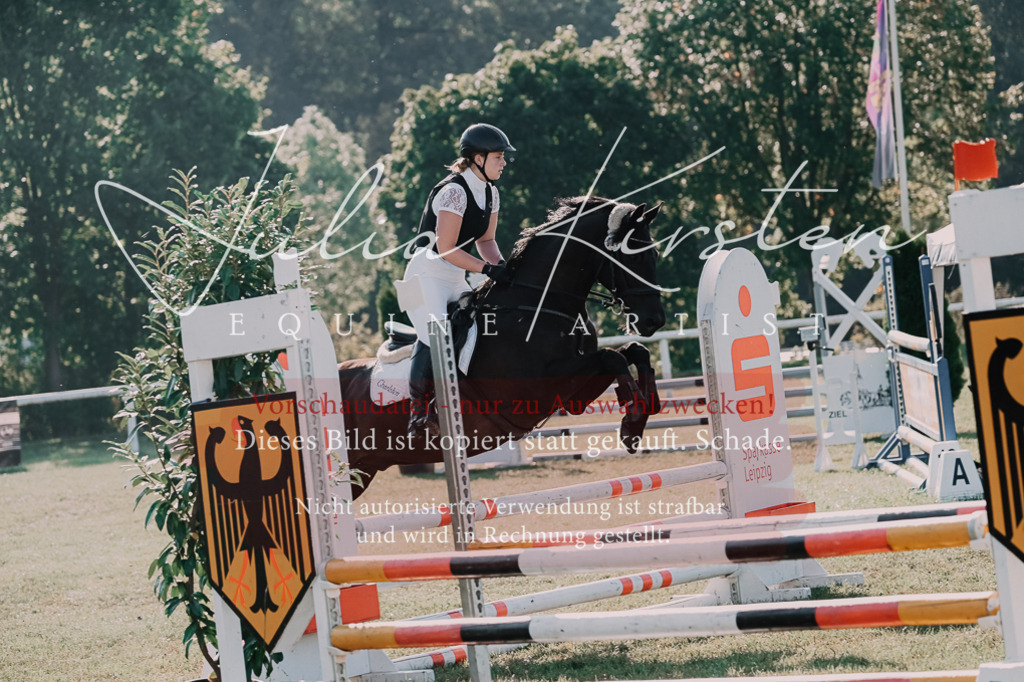 DSC_4523 | Pferde- und Turnierfotografie in Westsachsen. Pferdeportraits, Auftragszeichnungen und intuitive Kunst.