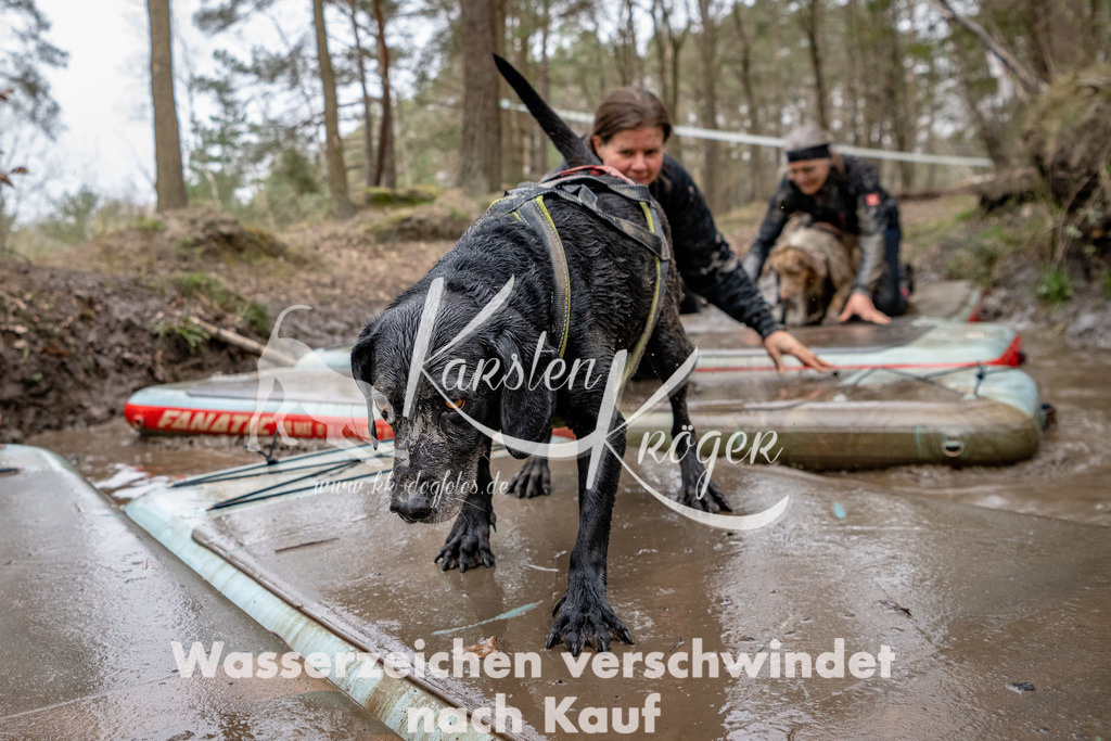 1210DSC_5342 | kk-dogfotos