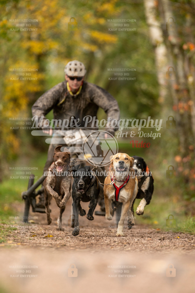 TSB_2023_E4_Kart-14 | mompixphotography