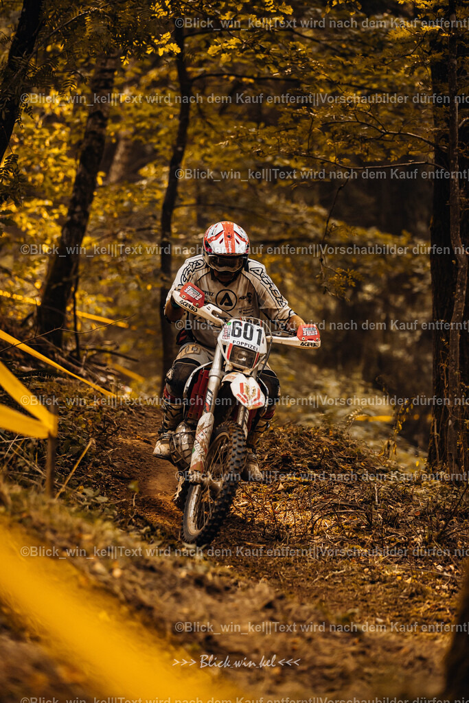 E68A3916 | blick_win_kel