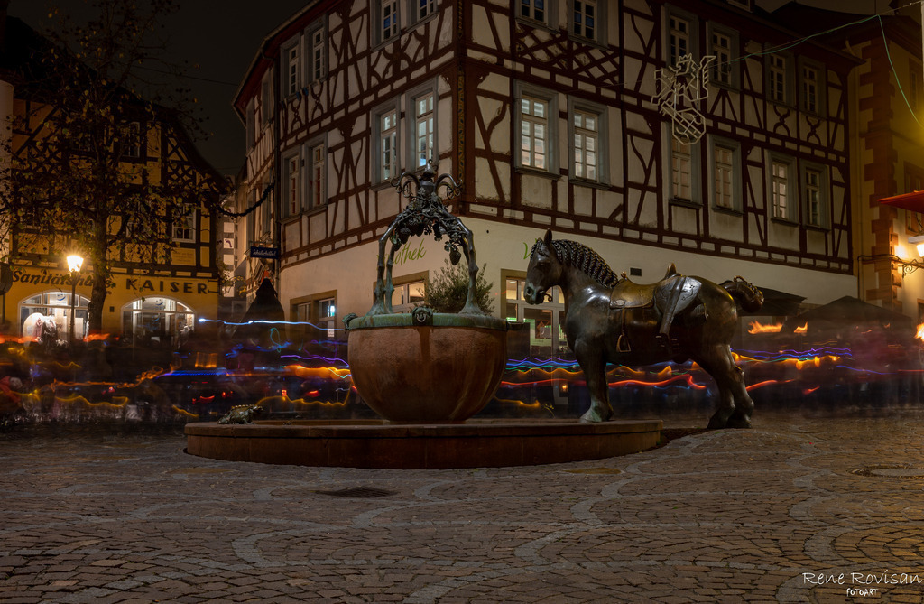 _DSC8865 | renerovisanfotoart.com