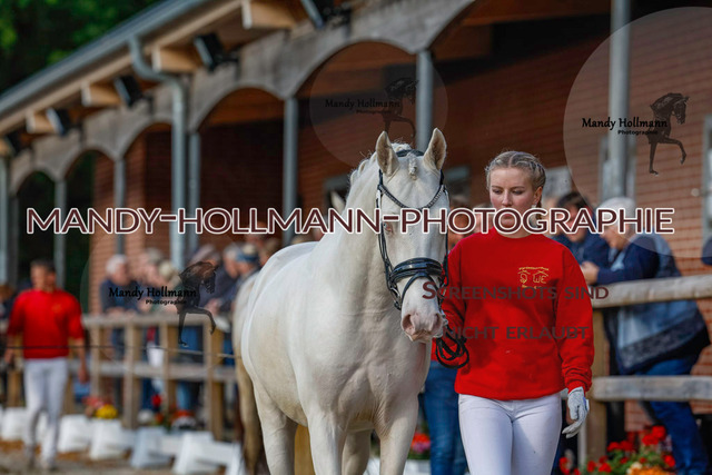 DR (1457 von 1791) | mandyhollmannphotographie