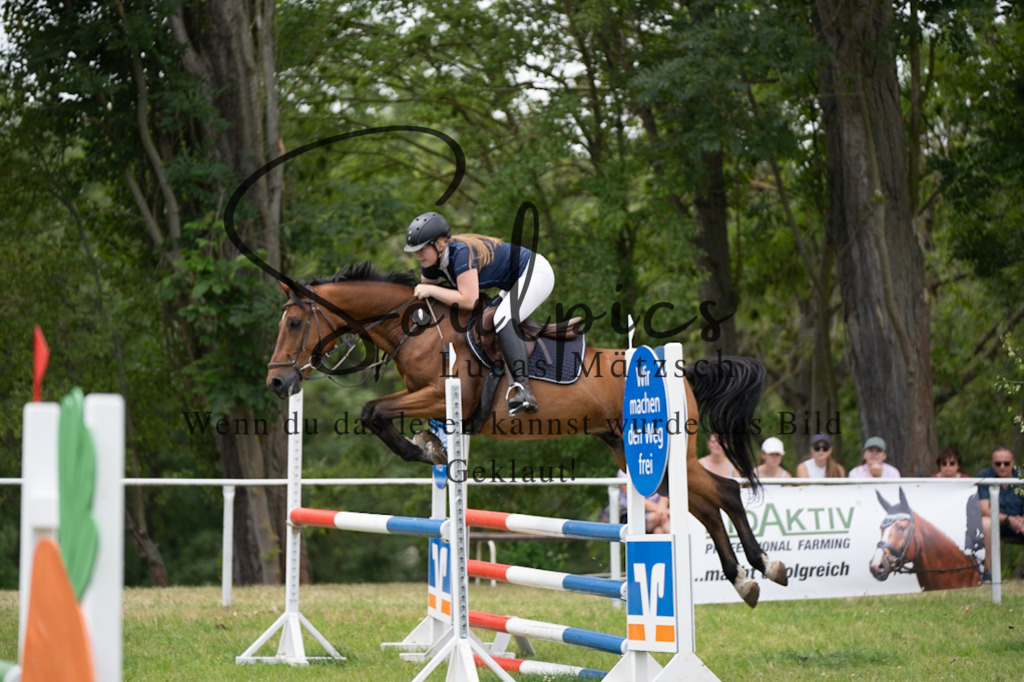 A7V06825 | Pferdefotograf