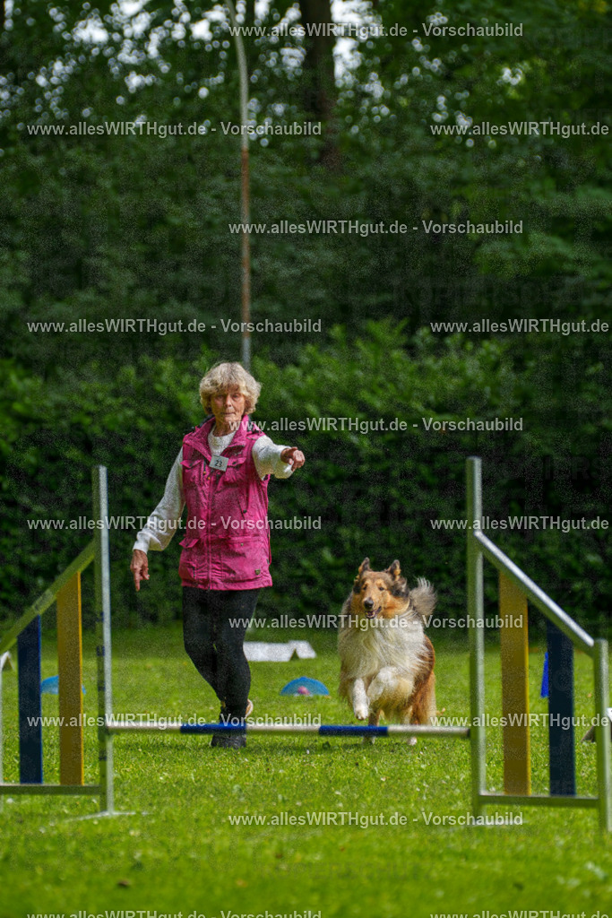 @allesWIRTHgut_Tierfotografie - www.allesWIRTHgut.de - 094952-7R507666 | Professionelle Tierfotografie in Mönchengladbach von Daniel Wirth (allesWIRTHgut). Liebevolle & natürliche Bilder von Hunden & Katzen für unvergessliche Erinnerungen.