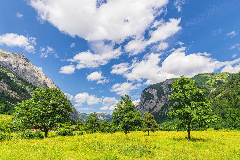 Der Große Ahornboden im Rißtal bei der Eng Alm in Österreich | Der Große Ahornboden im Rißtal bei der Eng Alm in Österreich.