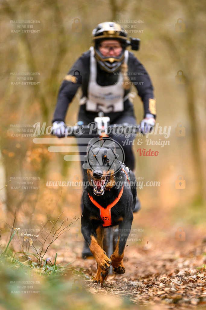 MompixPhotography_ReiatRennen2024_SO_Bike1H-98 | PayLife
