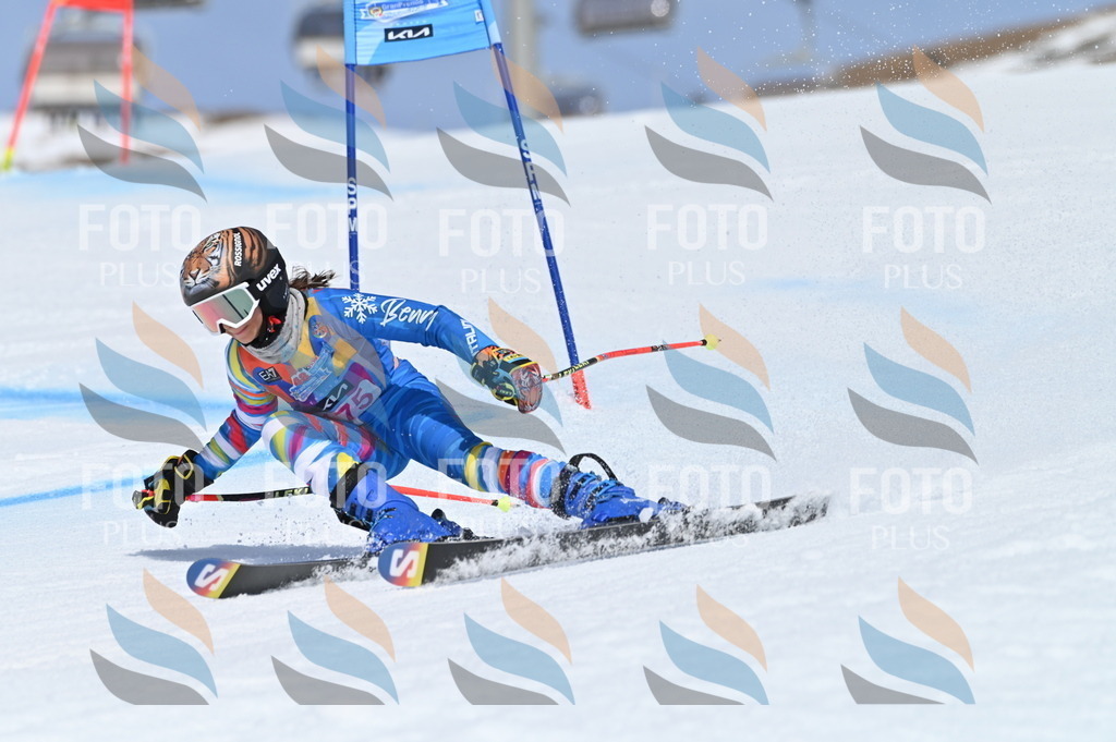 BGV_0528 | holidayphoto