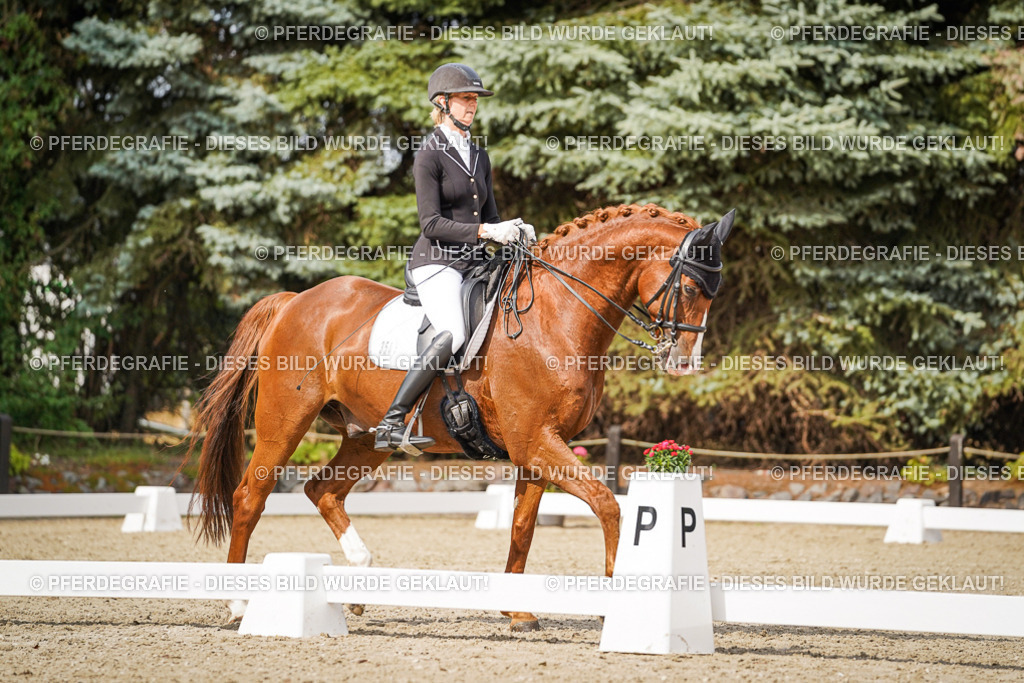 DSC06641 | Pferdegrafie