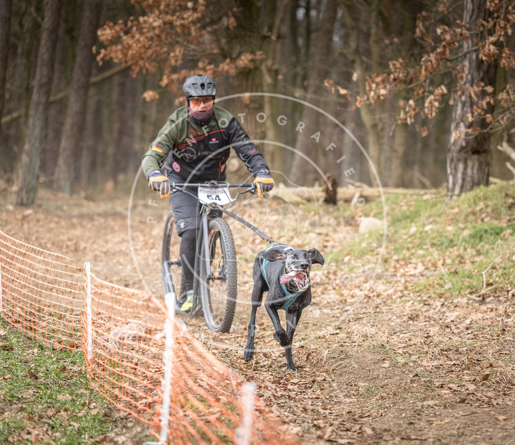 Pfotenfotografie_DV3A1497 | Hundefotografie, Tierfotograf, Pfotenfotografie, Fotoshooting Hund, Hunde Portrait, Hundesport, Hundeportraits, Heideshooting, Hunde, Sportfotograf, Hundefotograf, Turnierhundsport, THS,  - Realisiert mit Pictrs.com