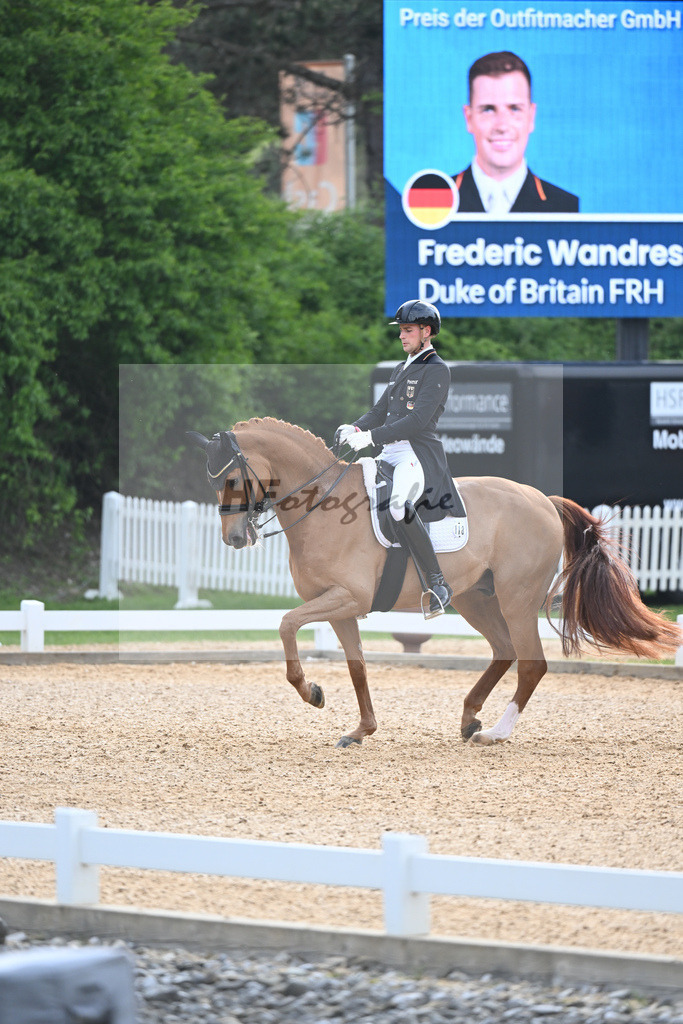 Wandres_Duke of Britain FRH_11232982 | hf-fotografie - Realisiert mit Pictrs.com