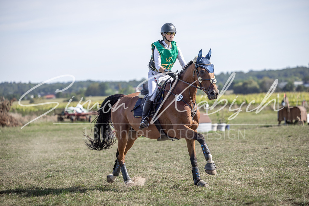 20250907-_3LI2882 | Tierfotografie Pferde, Hunde, Katzen, Haustiere.
Turnierfotografie Reitturniere, Reiten, Springreiten, Dressur in Hanau, dem Main-Kinzig-Kreis und dem Rhein-Main- Gebiet um Frankfurt