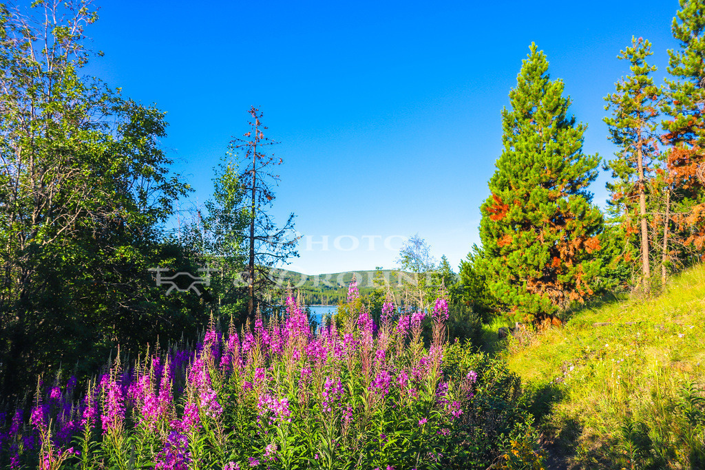 IMG_4074 | Erleben Sie den Zauber des Mittelrheins und entdecken Sie die atemberaubende Auswahl an Fotos und Bildern bei Rheinfotos. Wir bieten eine vielfältige Auswahl an Produkten wie Poster, Karten, Sticker, Textilien und Geschenkartikeln und Fototouren. - Realisiert mit Pictrs.com