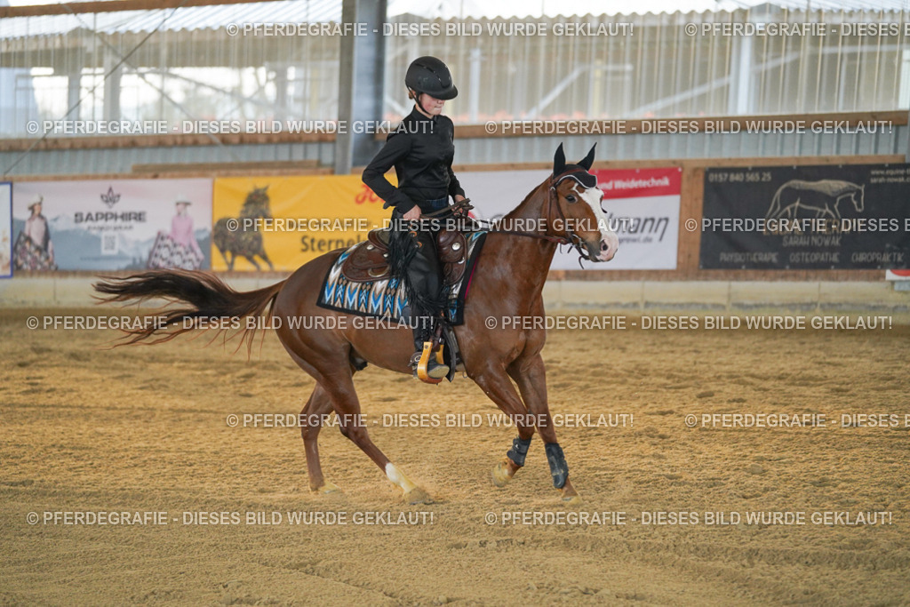 DSC08766 | Pferdegrafie